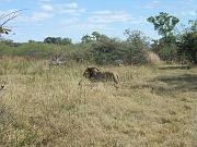 BOTSWANA Roberto e Lidia - 033